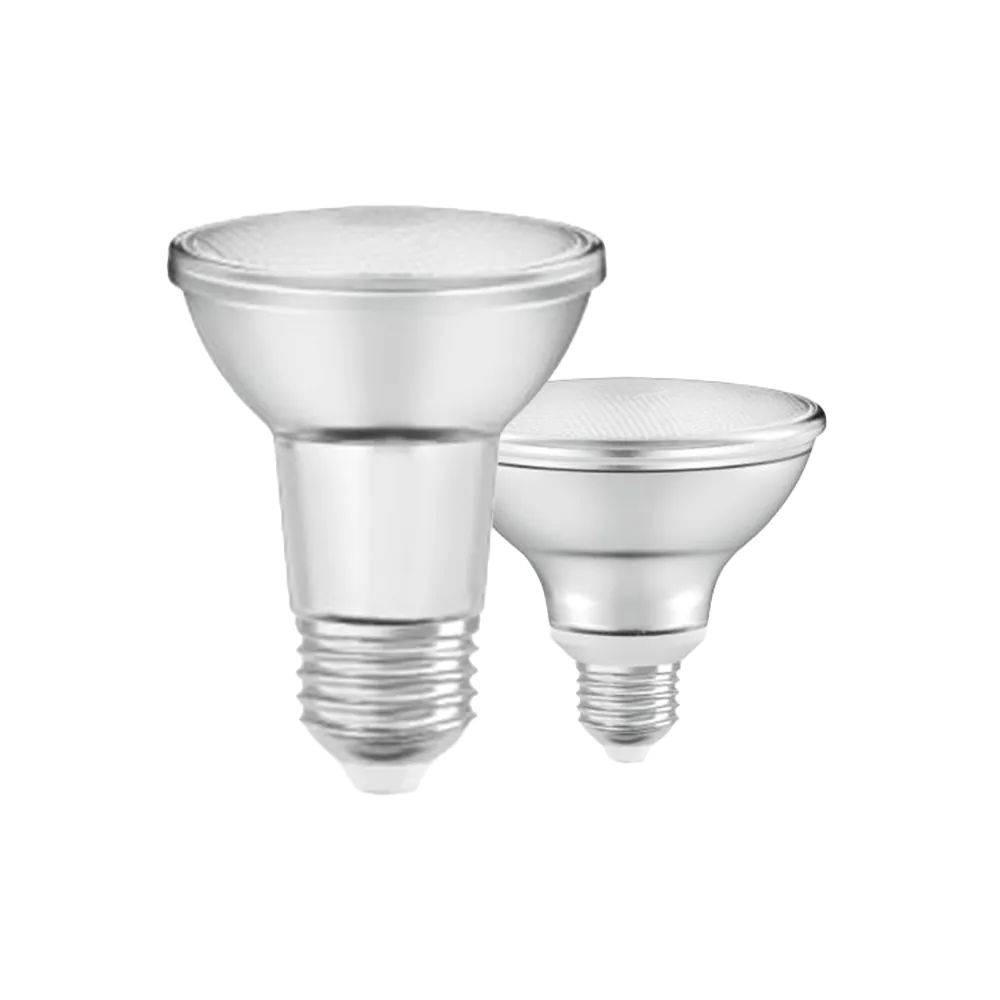 Dimbara PAR LED Spots