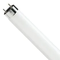 Philips T8 Lysrör