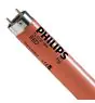 Philips MASTER TL-D 18W - Röd | 60cm